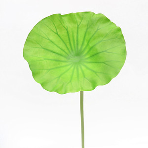 <span class=keywords><strong>Di</strong></span> alta qualità <span class=keywords><strong>di</strong></span> plastica artificiale <span class=keywords><strong>fiore</strong></span> <span class=keywords><strong>di</strong></span> loto giglio <span class=keywords><strong>di</strong></span> acqua per il giardino e decorazione della casa del <span class=keywords><strong>fiore</strong></span> - Product Image 4