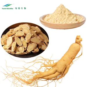 Ginseng Ginsenosides Best Selling Products Natural Panax Ginseng Extract Ginsenosides 20% HPLC