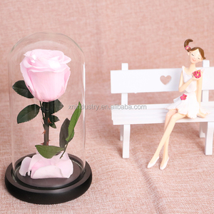 Kotak Mawar Alami Hadiah Hari Valentine Kualitas Tinggi Yang Pangeran Kecil Mawar Abadi Mawar Yang Diawetkan Dalam Kubah Kaca - Product Image 6