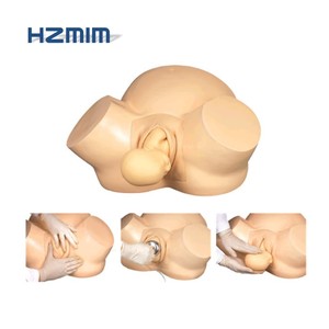 Medica <span class=keywords><strong>ciencia</strong></span> obstetricia modelo de enseñanza de anormal el parto simulador pélvica <span class=keywords><strong>en</strong></span> <span class=keywords><strong>la</strong></span> mujer modelo de formación - Product Image 2