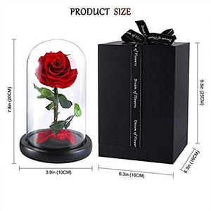 Forever Real Rose Everlasting Flower Preserved Fresh Flower Live <strong>Enchanted</strong> Rose in Glass Dome Cover with Gift Box - Product Image 6