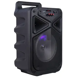 Temeisheng Speaker Trolley Portabel, Pengeras Suara Bt Subwoofer Bass 8 Inci dengan Mikrofon Nirkabel