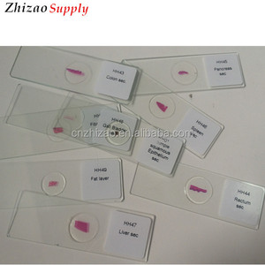 100 unids histología diapositivas <span class=keywords><strong>para</strong></span> la estudio docencia biología médica microscopio histología preparado diapositivas - Product Image 3