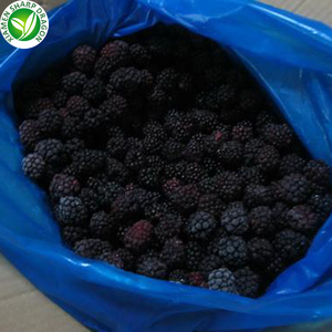 Exportadores <span class=keywords><strong>a</strong></span> granel todo orgánico fresco congelado mora de frutas - Product Image 6