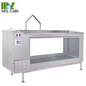 Máy Chạy Bộ Thủy Liệu Cho Chó MSL-C480 Máy Chạy Bộ Vật Nuôi Dưới Nước Có Động Cơ