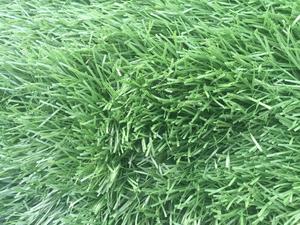 Gazon artificiel en forme de <span class=keywords><strong>V</strong></span> de bonne qualité, 5 pièces, pelouse de football - Product Image 5
