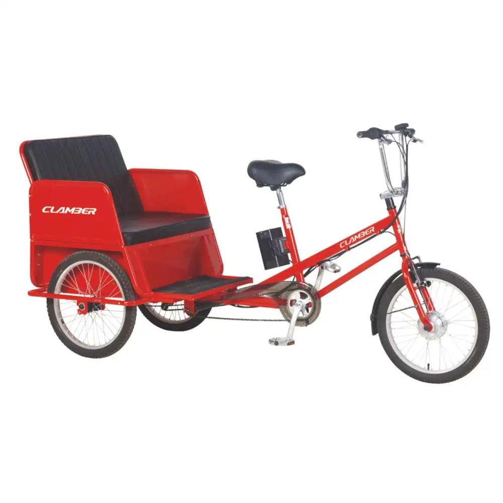 Three wheels 250W electric cargo bike trike pedicab for family use TC8001E