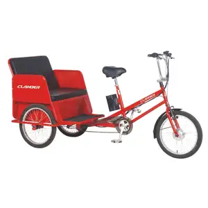 3 Wheels 250W Electric Cargo Bike Trike Pedicab For Family Use TC8001E