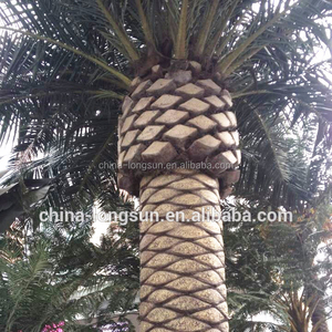 LSD-170426074 nouveau produit en vente artificielle canary date palmiers pour décoration Golden Palm Canne - Product Image 1