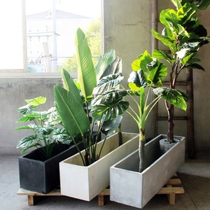 <span class=keywords><strong>Maceta</strong></span> <span class=keywords><strong>larga</strong></span> <span class=keywords><strong>de</strong></span> cemento para decoración al aire libre - Product Image 4