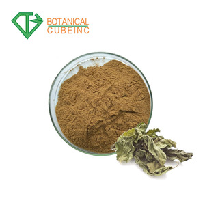 Fuente de <span class=keywords><strong>la</strong></span> fábrica Natural Deoxynojirimycin <span class=keywords><strong>Mora</strong></span> 5% polvo de extracto de hoja de - Product Image 3