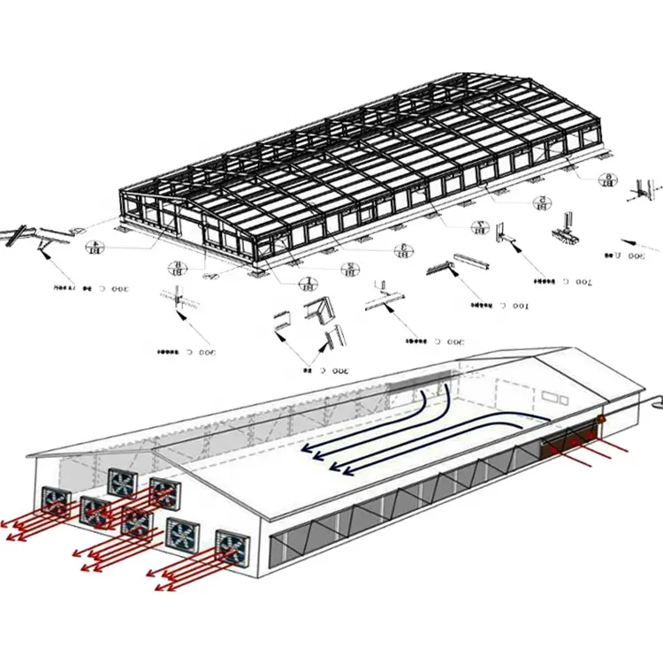 Estructura de acero de alta calidad, casa de granja avícola prefabricada, nombres de granja avícola