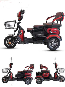 3-Wheel Adult Electric Tricycles <strong>Passenger</strong> <strong>2</strong> <strong>Passengers</strong> EEC Certified Multiple Colors Options 48v Open Body Type - Product Image 3