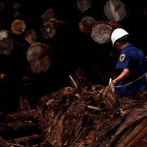 CCIC-FCT Certification et <span class=keywords><strong>Service</strong></span> D'inspection/matière première qualité <span class=keywords><strong>service</strong></span> de contrôle - Product Image 3