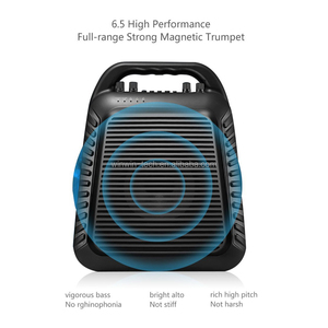 Amplificateur de guitare avec 6.5 pouces Hi Fi double magnétique de grande taille trompette voix amplificateur haut-parleur - Product Image 4