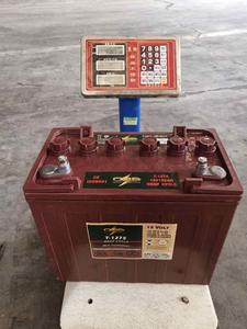 <span class=keywords><strong>12V</strong></span> 150ah T1275 トロージャン ディープサイクルバッテリー ゴルフカート用 - Product Image 2