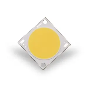 COB 3200K Lampu Pertumbuhan Led Spektrum Penuh Daya Tinggi 30W 50W untuk Bunga dan Daun Sayuran Akuatik Tanaman Led Chip Lampu Tumbuh