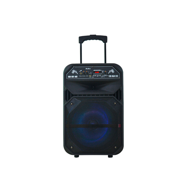 HoXen High Quality 12 Inch Trolley Speaker System Blue Tooth Trolley Portable Speaker With LED Display