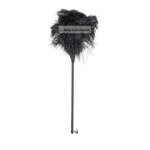 Plumeau D'autruche avec Manche En Bois Dur Parfait pour les Petits Accessoires Informatiques, Voitures, Meubles - Product Image 2