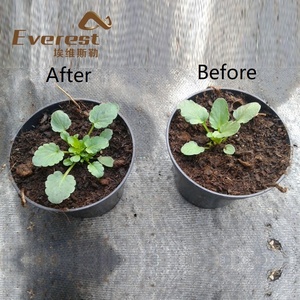 EVEREST 100% irrigazione a goccia solubile in acqua 60% 70% 90% 95% 98% acido fluvico/fulvico - Product Image 3