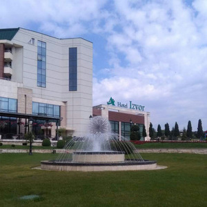 Thiết Kế Miễn Phí Thép Không Gỉ Nóng Bán Ngoài Trời Bồ Công Anh Vườn Đài Phun Nước - Product Image 5