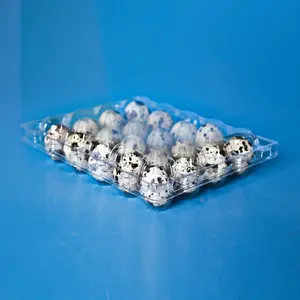 Plateau à œufs en plastique transparent, 50 pièces, plateau à œufs de caille, carton