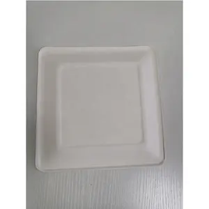 100% Compostable Sugarcane bagasse paper Plate Disposable tetragonum paper plates