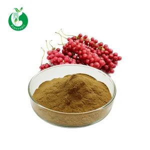 ISO ได้รับการอนุมัติธรรมชาติผง Schisandra Berry สารสกัดจาก