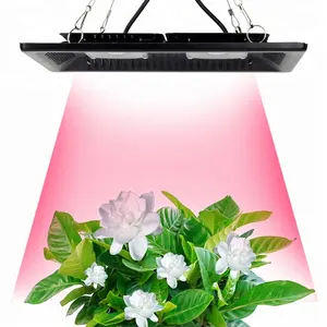 Tam spektrum 200W su geçirmez IP67 COB büyümek LED lamba kapalı bitki için açık Hydroponic sera ışık büyümeye yol açtı