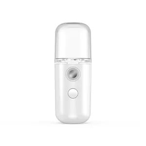 Mini vaporizador iónico portátil para belleza Facial, Mini máquina de belleza portátil con carga USB