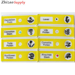 I bambini di plastica microscopio vetrini preparati per la biologia educativi - Product Image 4