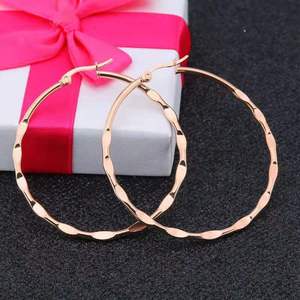 25mm 30mm 40mm 50mm 60mm Custom Large Circle Stainless Steel Earring Silver <strong>Gold</strong> Black <strong>Rose</strong> Plated Twisted <strong>Hoop</strong> - Product Image 3