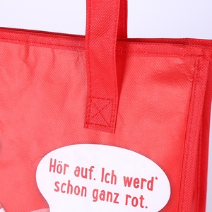 Bolsa térmica de aluminio con aislamiento isotérmico suave grande personalizada con función de panel solar certificado ISO - Product Image 4