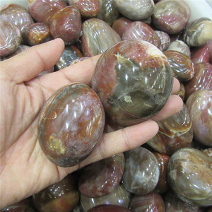 Wholesale Natural Polished Petrified Wood fossil Tumbled Stone Crystal Palm Stone