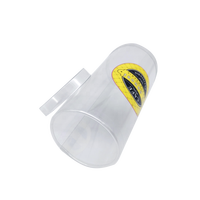 Nouvelle boîte EN PVC transparent logo personnalisé acétate tube à bonbons