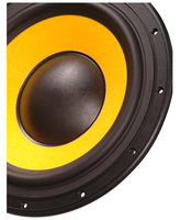 Haut-parleur professionnel de 10 pouces, 8 ohms, pour système 3 voies