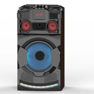 Temeisheng new speaker box with volume control,portable speakers with subwoofer