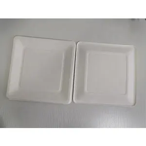 100% Compostable Sugarcane Bagasse Paper Plate Disposable Tetragonum Paper Plates