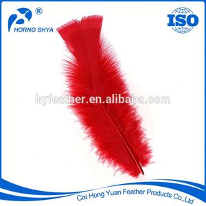 Fabricante, hecho en China, venta al por mayor colorido teñido a granel Turquía <span class=keywords><strong>plumas</strong></span> de marabú para venta - Product Image 5