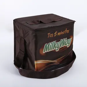 high quality custom logo printing insulated cooler bag shoulder bag food use lunch box pp woven cooler bag