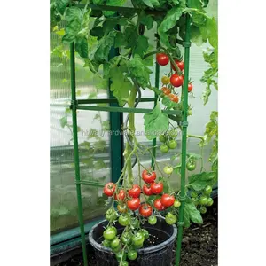 1.8meter Galvanized Tomato support/Plant support