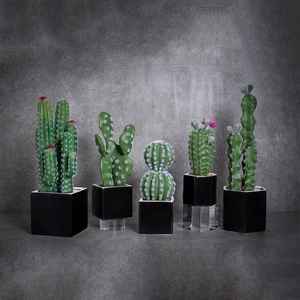 Vente chaude Décoration De La Maison En Céramique D'intérieur En Pot Plante Succulente <span class=keywords><strong>Grand</strong></span> <span class=keywords><strong>Cactus</strong></span> Artificiel - Product Image 1