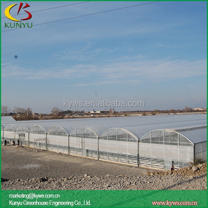 Arco techo tipo de contenedor de jardinería de <span class=keywords><strong>tomate</strong></span> de efecto invernadero - Product Image 5