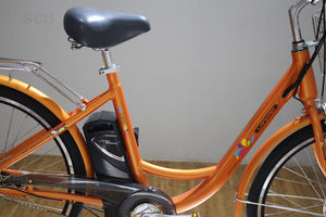 Vélo électrique Offre Spéciale pour adulte/ebike vélo électrique vélo de ville/vélo électrique avec <span class=keywords><strong>panier</strong></span> pour <span class=keywords><strong>femme</strong></span> - Product Image 6