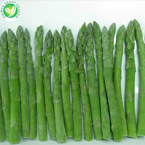 Venta al por mayor a granel IQF congelados espárragos para venta - Product Image 2