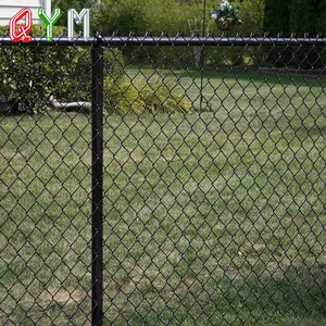 Popular and Safe Garden Use PVC Coated Chain Link Fence and Gate