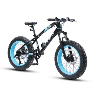 Venda quente de aço 20 ''fat tire bike