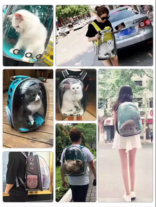 viajes <span class=keywords><strong>de</strong></span> <span class=keywords><strong>mascotas</strong></span> <span class=keywords><strong>de</strong></span> <span class=keywords><strong>mochila</strong></span> transpirable perro gato <span class=keywords><strong>mochila</strong></span> y transporte <span class=keywords><strong>de</strong></span> <span class=keywords><strong>mascotas</strong></span> perro <span class=keywords><strong>mochila</strong></span> transparente - Product Image 3