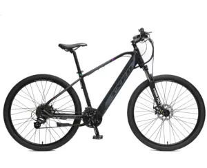 Pil görünmez 29 inç elektrikli bisiklet MTB Ebike e-bike 36v