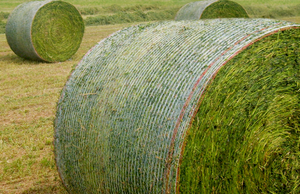 SRCE Duy Nhất thanh kim Bale Net Bọc Máy - Product Image 6